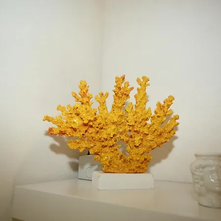 Giallocorallo - Trapani